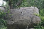 safrica_dec_13_image41.jpg
